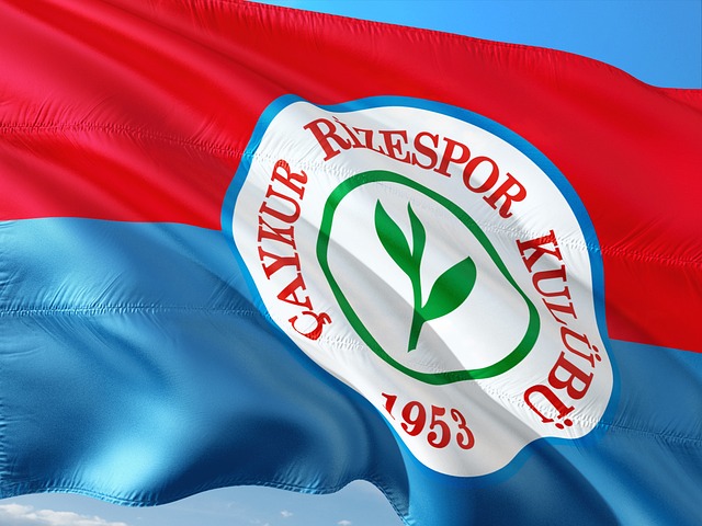 也为年轻一 也为年轻一