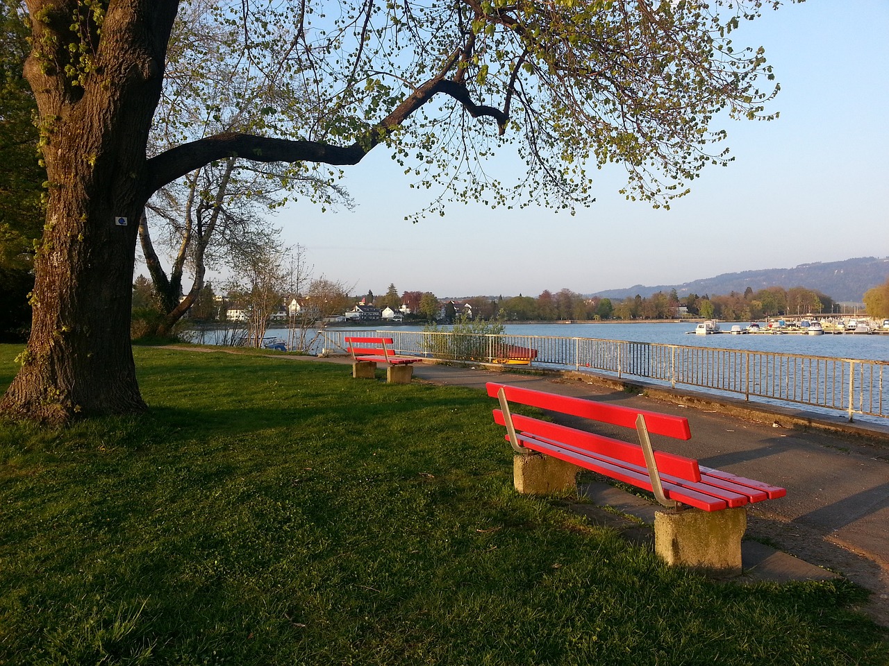 表现堪称亮 表现堪称亮