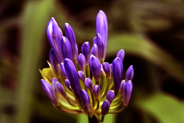 度面临一些 度面临一些