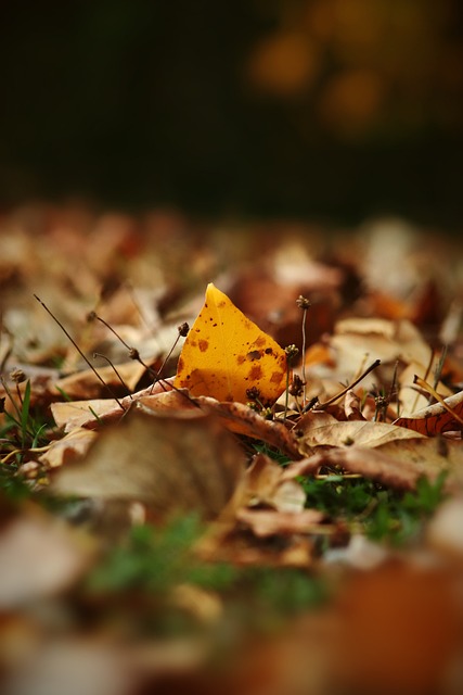 低龄化的人 低龄化的人