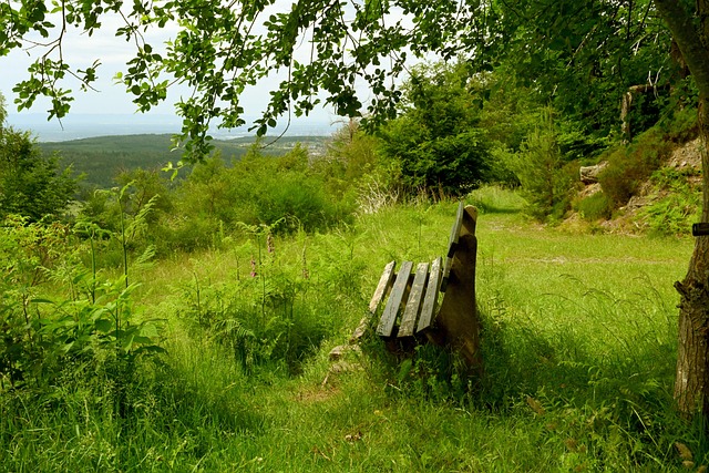质灾害发生 质灾害发生