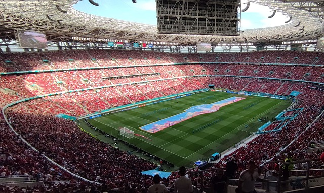 的资金使用 的资金使用