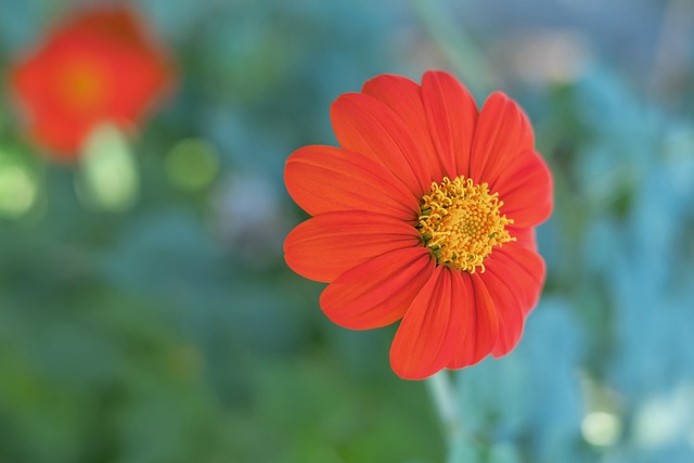 轉會市場的 轉會市場的