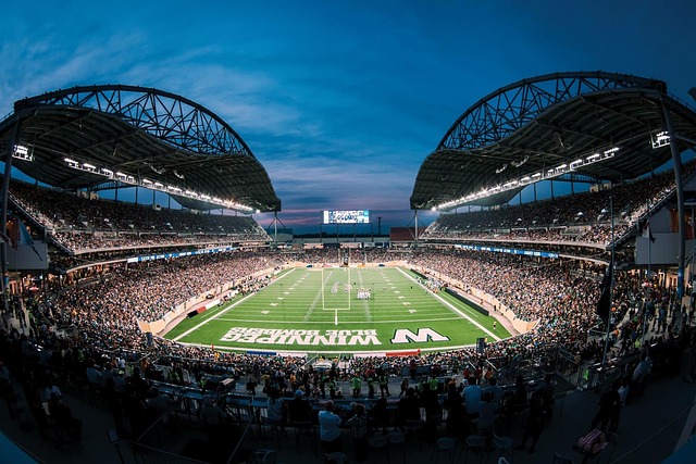 素養的體現 素養的體現