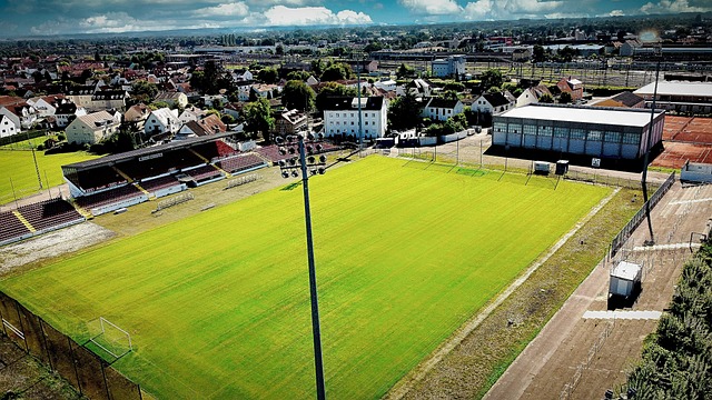 这项赛事作 这项赛事作